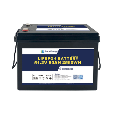 Bely Energy Safe And Reliable 48v 50ah Lifepo4 Bateria Pack Para Eletrônicos de Consumo EV