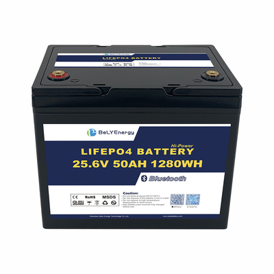 OEM ODM ABS Anti-UV Bateria de barco marinho 24V 50AH LiFePO4 Bateria de lítio com BT
